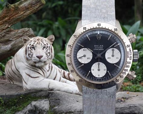 daytona unicorn|unicorn white gold.